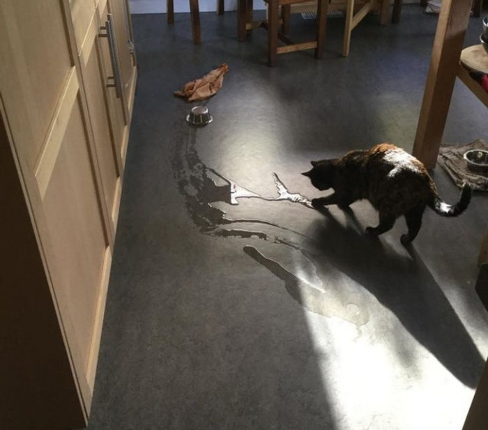 20. Don't interrupt her; she's painting a masterpiece.