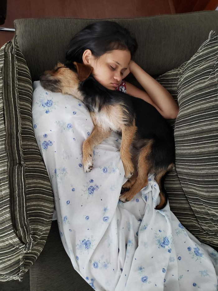 3. "Just Rescued This Puppy From The Streets. That Is Its First Nap After A Shower And Food"