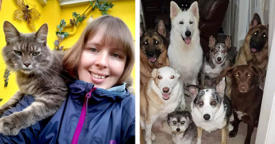 Woman Sets Up A Photo Shoot For Her 17 Pets And She Pulls It Off Against All Odds.
