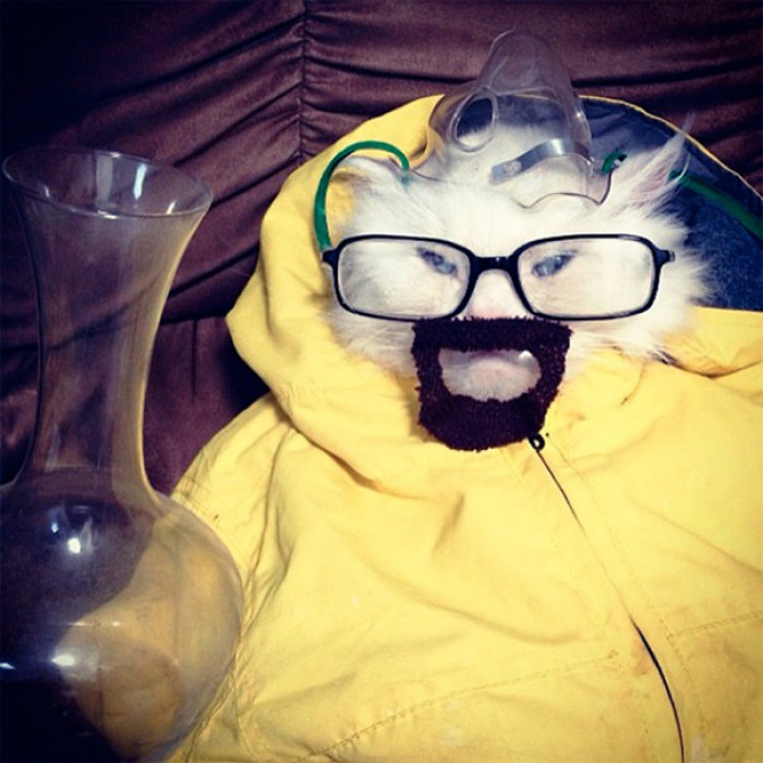 Breaking Bad