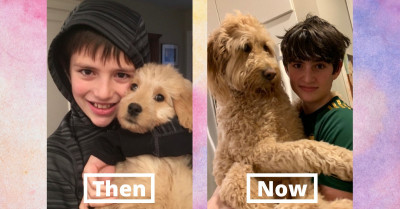 Puppies Becoming Full Grown Dogs Produce The Cutest Then & Now Photos