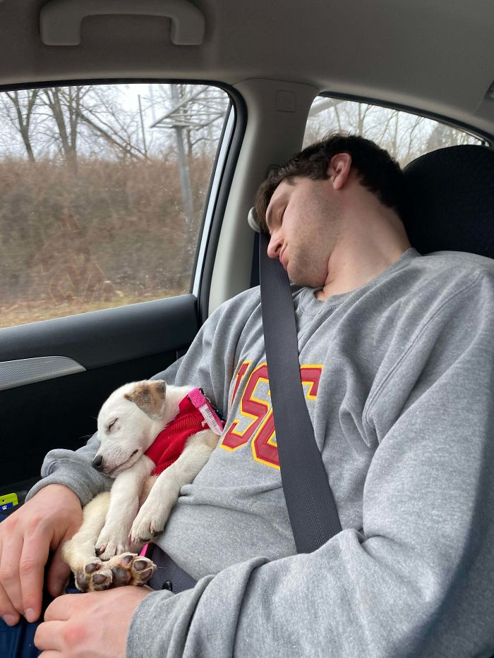 35. "On Our Way Home From Adopting Her. Like Father, Like Daughter."