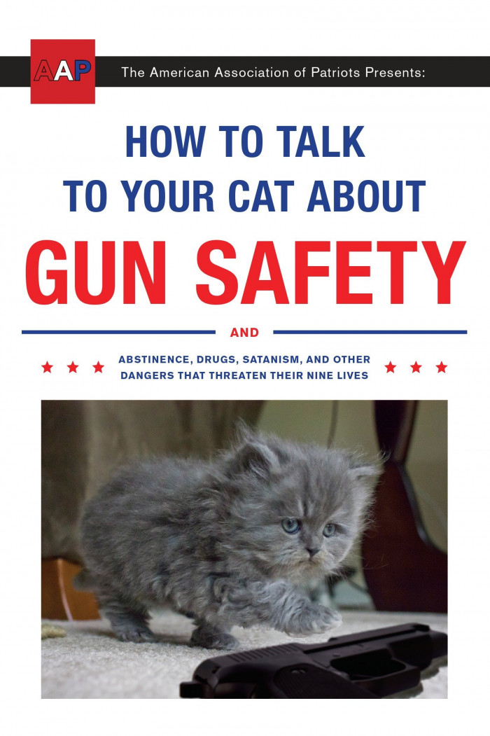 "How To Talk To Your Cats About Gun Safety."