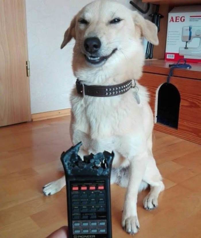 Maybe if I squint, they won't think it was me.