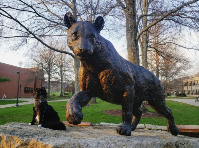 “He was kind of like a little celebrity around campus, and every time we'd be walking or I'd be pushing him in his cat stroller, people would stop us to talk or pet him for a while,” Weader told The Dodo.