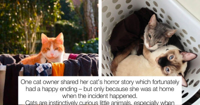 Pet Owner Shares A Warning About Concealed Danger Of Mesh Laundry Baskets