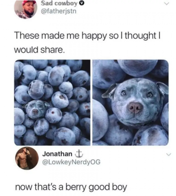 1. He's blueberrycute!