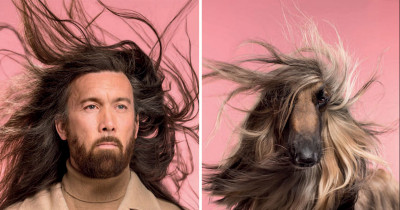 Photographer Documents Amazing Similarities Between Dogs And Their Humans