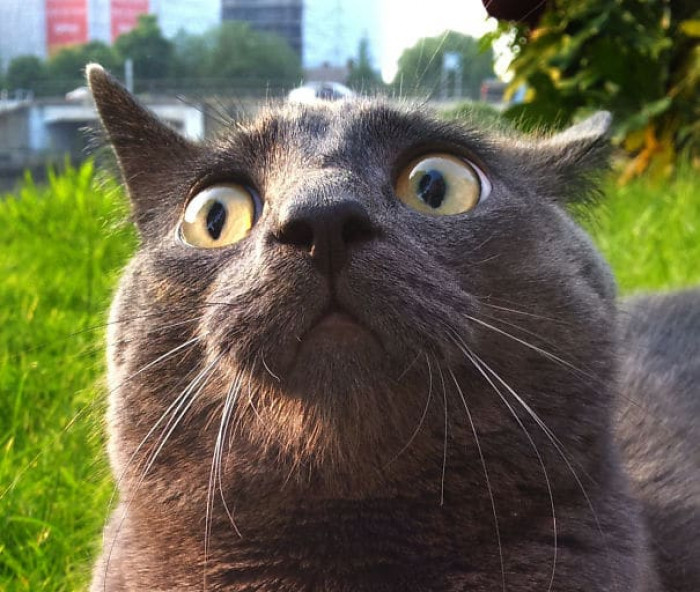 33. "Please tell me this is NOT a thing!!!"