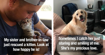 Loving Pets Adoringly Staring At Their Humans, And It's One Of The Purest Things You Will Ever See