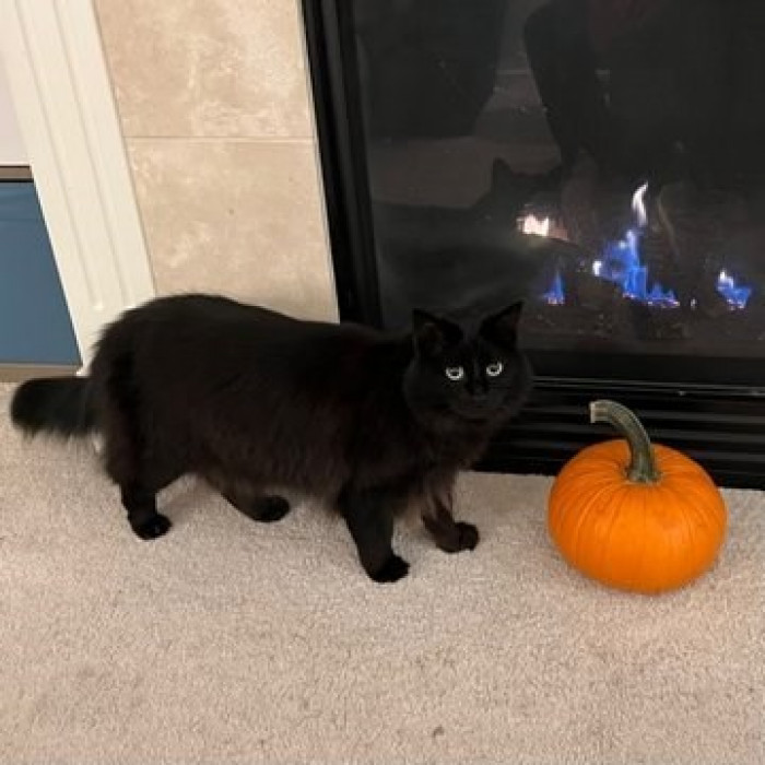 She's come a long way since being that tiny fluff ball!