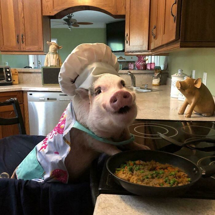 24. Chef Piggy!
