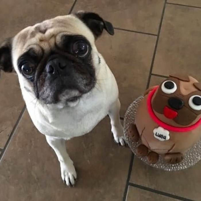 6. He's loving his cake