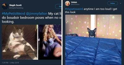 People Share The Weird And Hilarious Things That Their Pets Do To Them