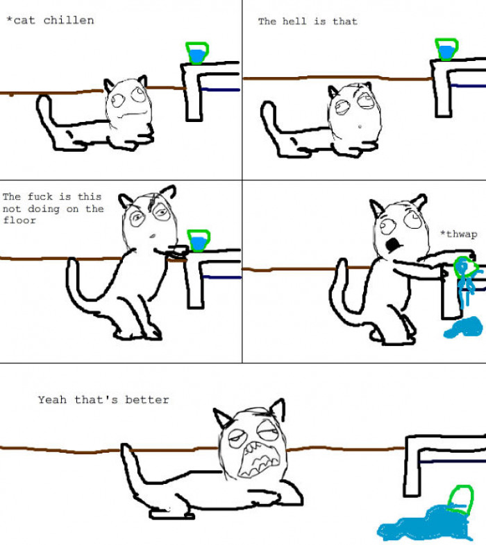 Absolutely Hysterical Examples Of How Cats Process Logic