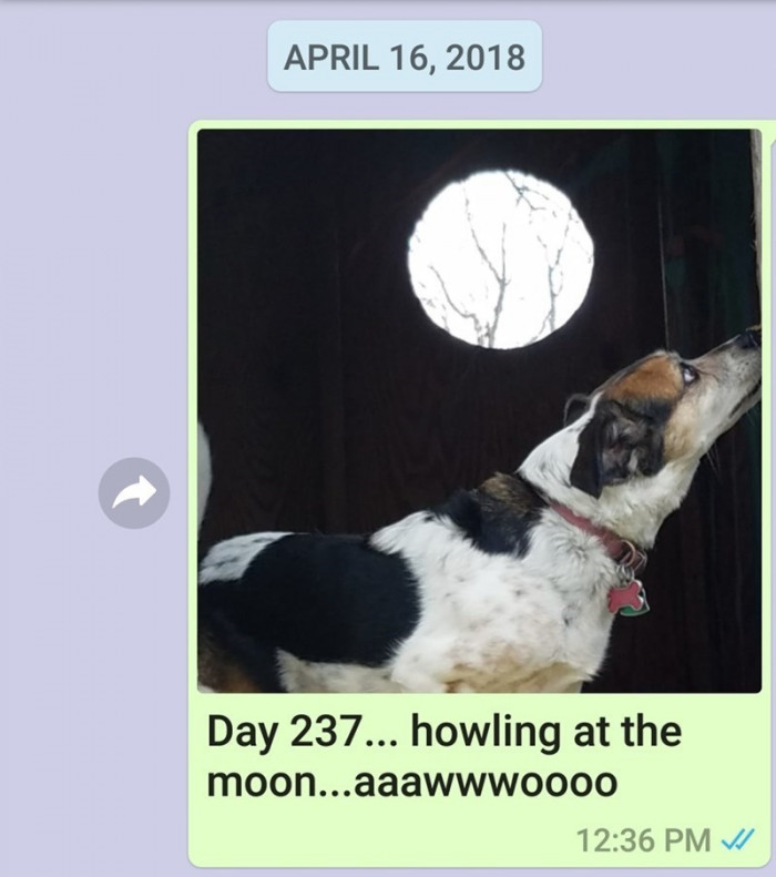 Day 237.