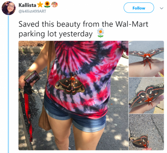 3. Such Beauty Is Worth Saving.