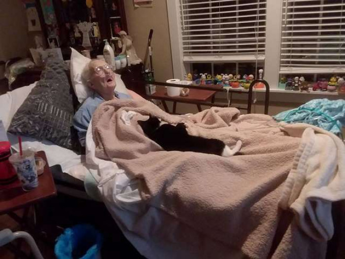 A warm indoor scene, cat resting on blankets beside the sick grandmother.