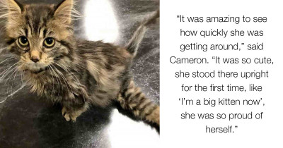 Wobbly Legged Kitten Gets Braces Made By Kind Hearted Gamers