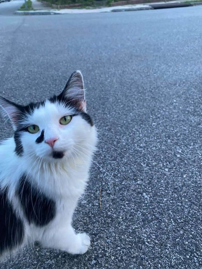 "Ran Into This Sweet Girl On My Way Home"