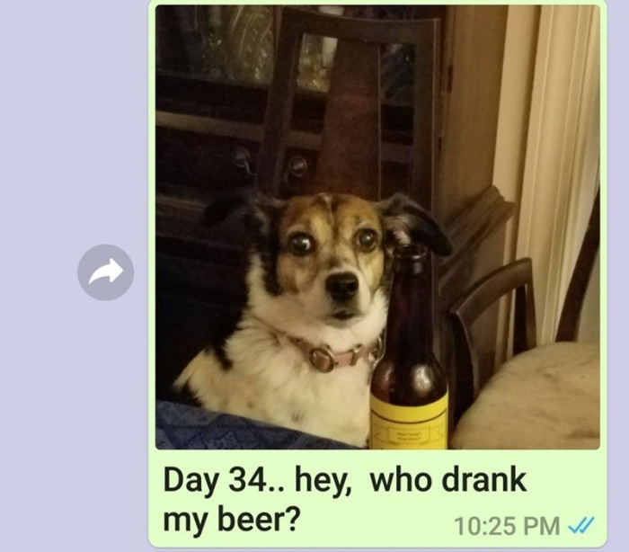 Day 34.