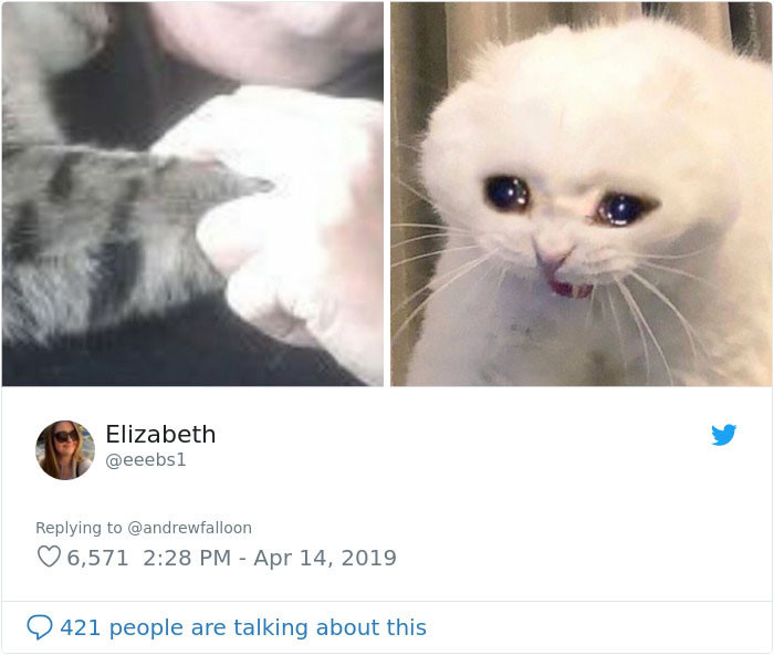 The Internet responded exactly how we would expect.