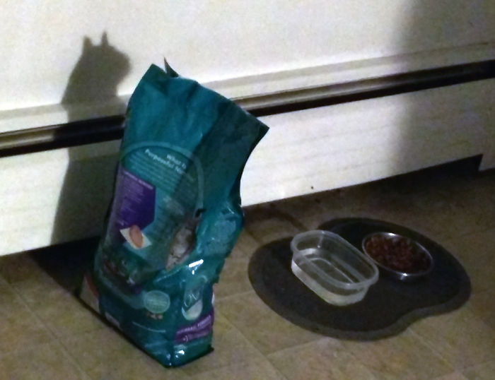 "This Cat Food Bag's Shadow Looks Like a Cat"