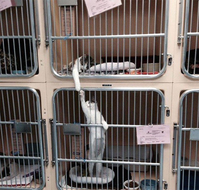 21. "Bro's even in lockup. We got locked up! Won't let me out!"