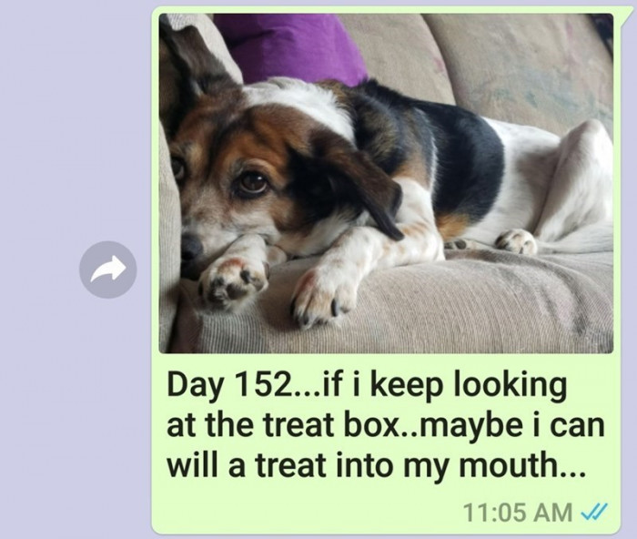 Day 152.