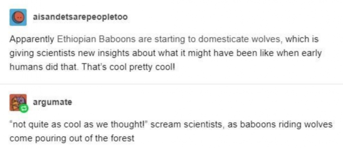 12. I'm mildly concerned.