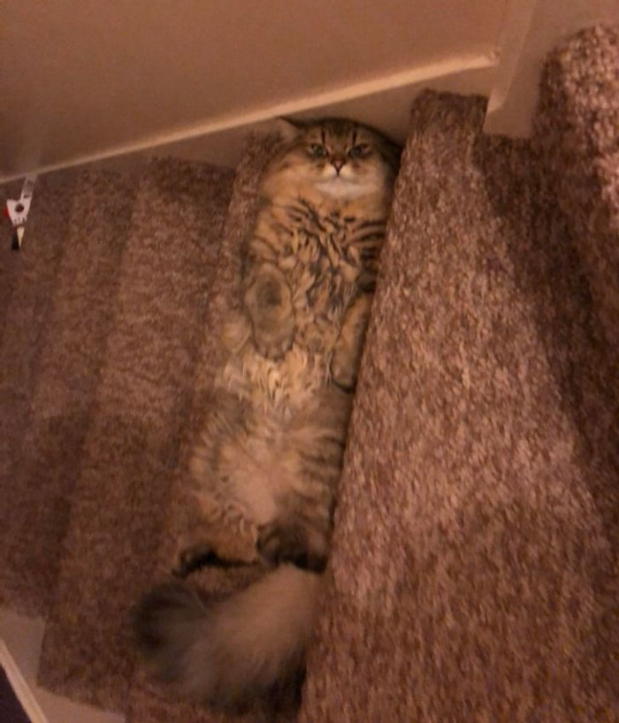 2. Playing hide and seek.