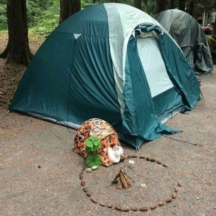 29. This kitty wanted to be included in the camping trip.