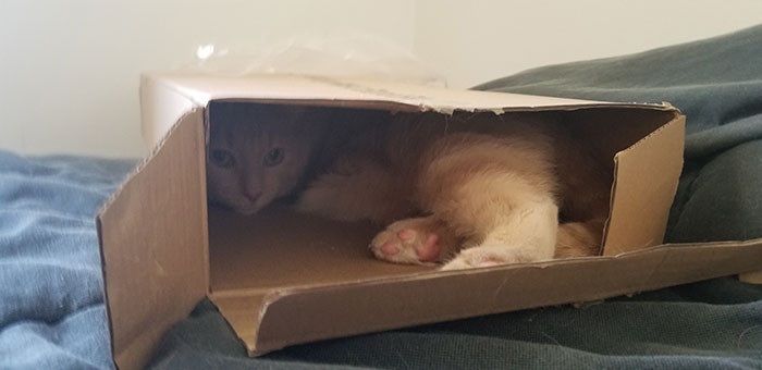 In a box