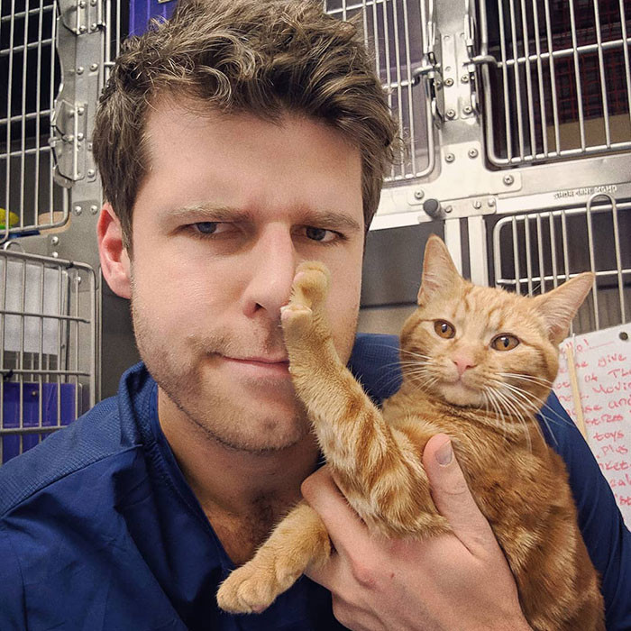 18. "Enough, You Imbecile. Be Gone!" These Cats Get Sassier by the Day