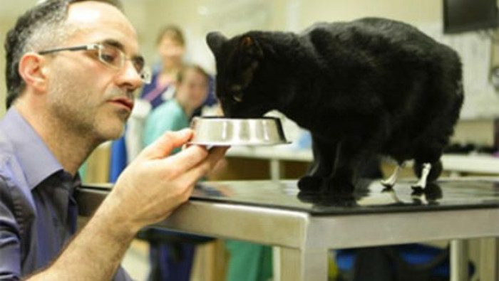 Noel Fitzpatrick with Oscar