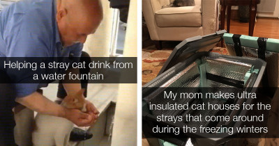 Wholesome People Helping Cats and Dogs To Live a Better Life