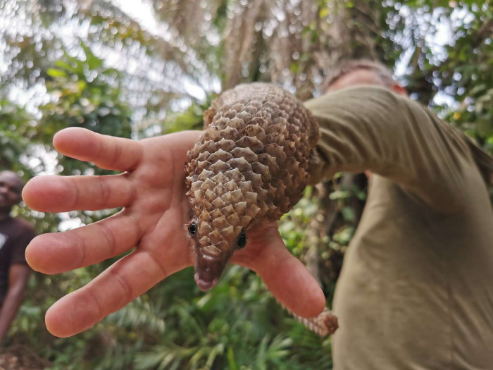 “To better protect them, we must embark on a full-scale educational program for the entire community on the need to protect pangolins, while encouraging the government to step up to the duty of protecting these endangered species.”