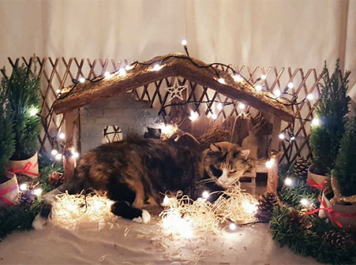 23. "Christmas Is Cancelled By A Giant Cat That Squashed Baby Jesus And Ate The Three Wise Men"