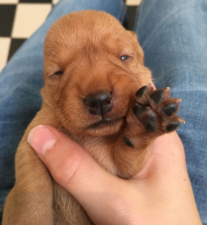 3. The perfect moment of the "first time seeing."