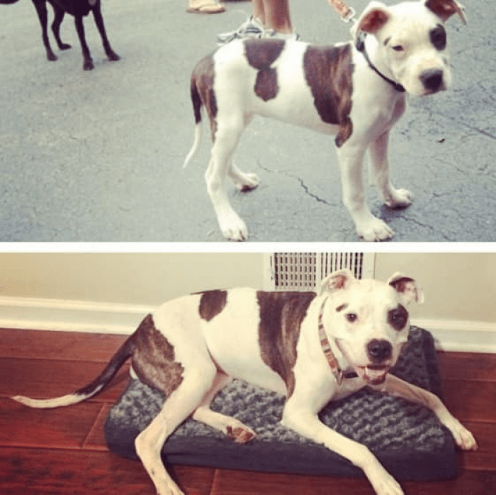 Look at that happy boy!