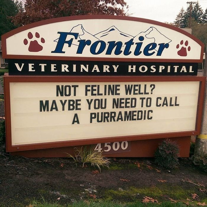 15. Cat got your tongue? They can help.