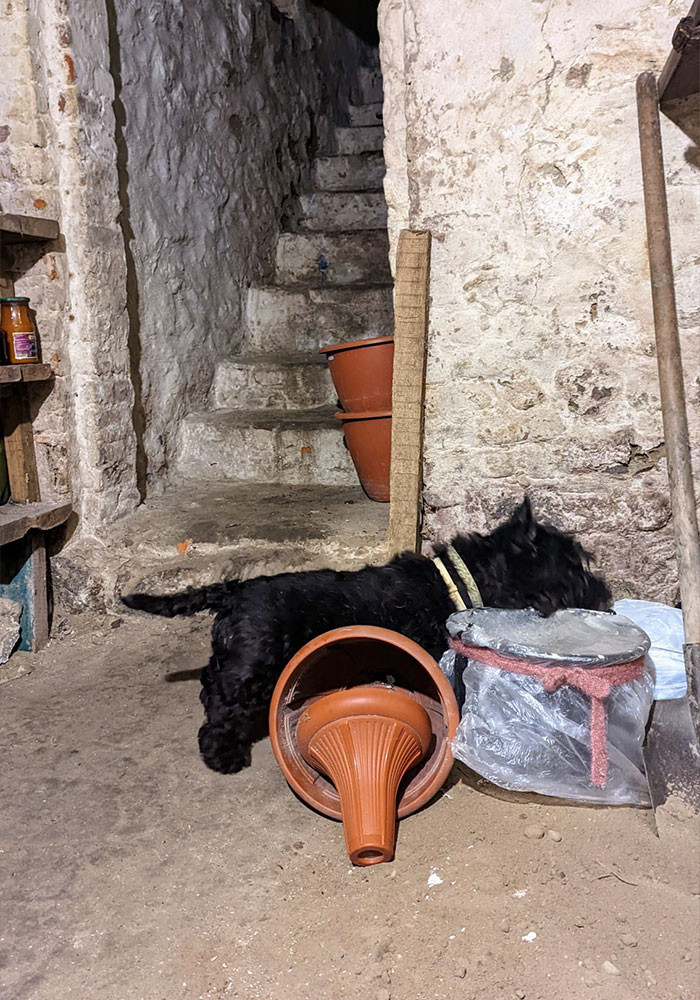 #39 Difficult to tell what he's doing