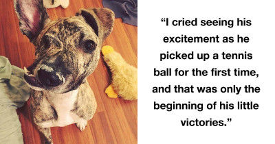 Meet Squish: A Perfectly Imperfect Rescue Pup