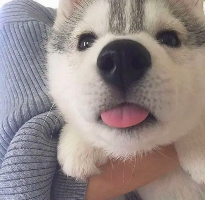 Blep.