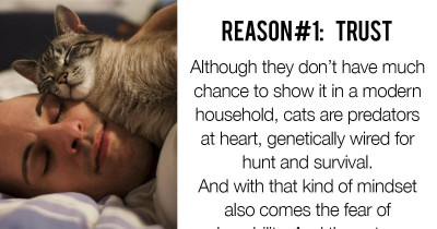 This Is Why You Should Let Your Cat Sleep In The Same Bed With You