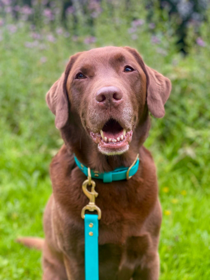 “Ollie definitely seemed a little happier,” Alex added.