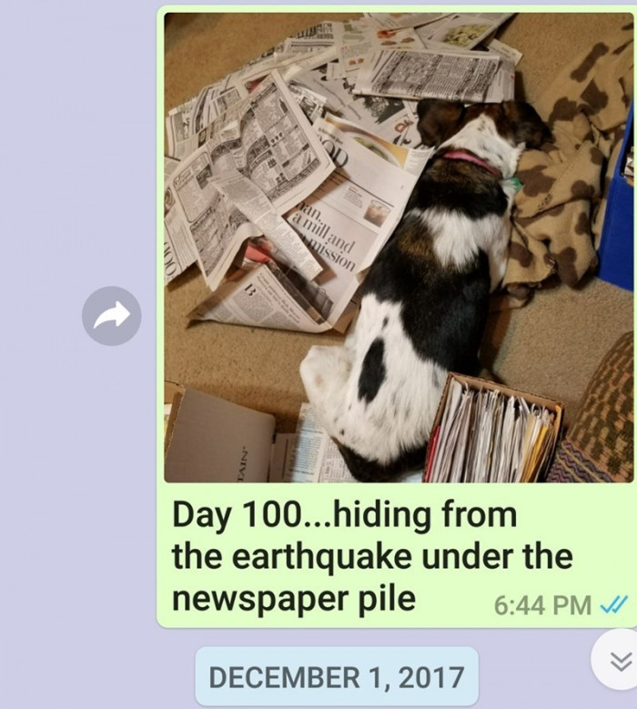 Day 100.