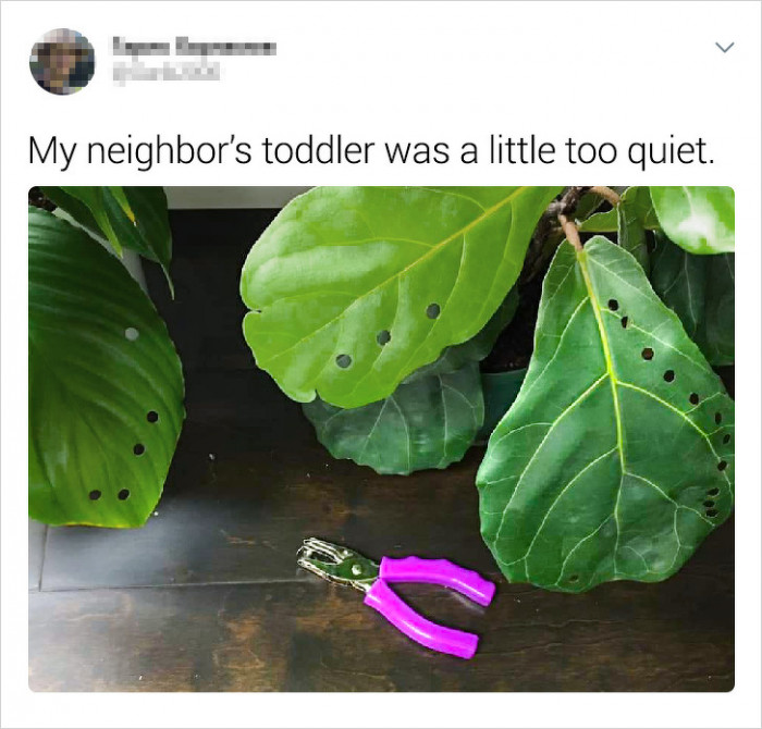 10. I can't even here. I'm dying. LOL