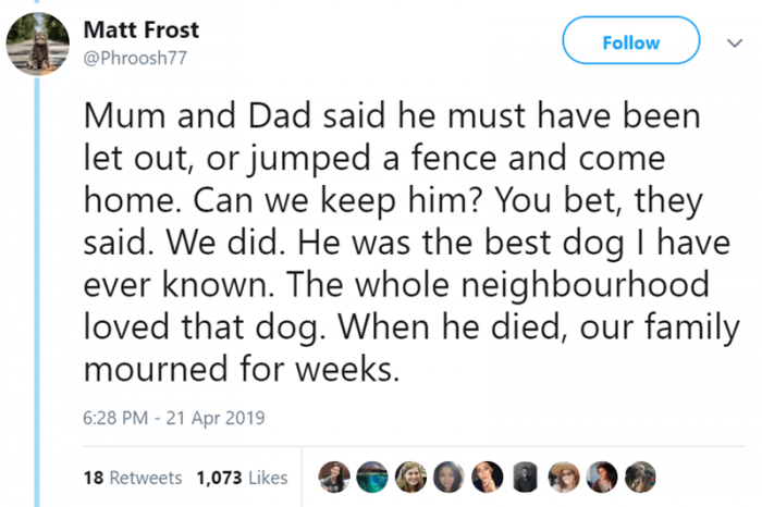 Murdoch is home! He didn't understand how or why, but he knew he loved that dog.