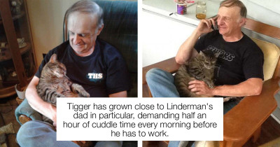 This Cat Demands Half An Hour Of Cuddle Time Every Morning